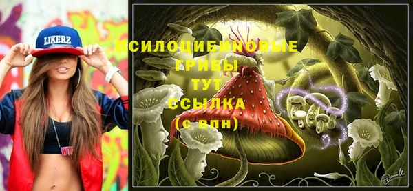 дживик Алзамай