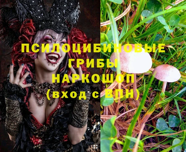 метамфетамин Алексеевка