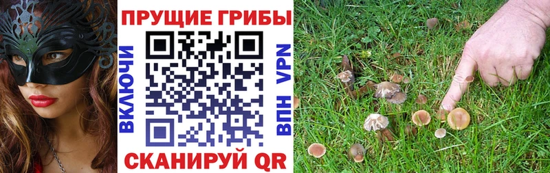 Псилоцибиновые грибы MAGIC MUSHROOMS  Дыгулыбгей 